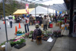 <center>花苗販売<br>Flower seedling sale</center>