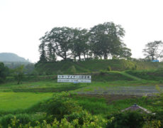 <center>浮牛城<br>(Fugyu castle)</center>